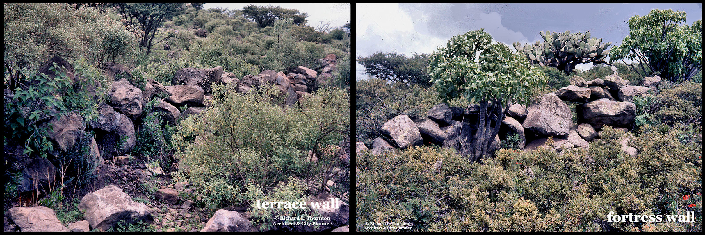 Agricultural Terrace Complexes in Mexico, Guatemala and Georgia – The ...