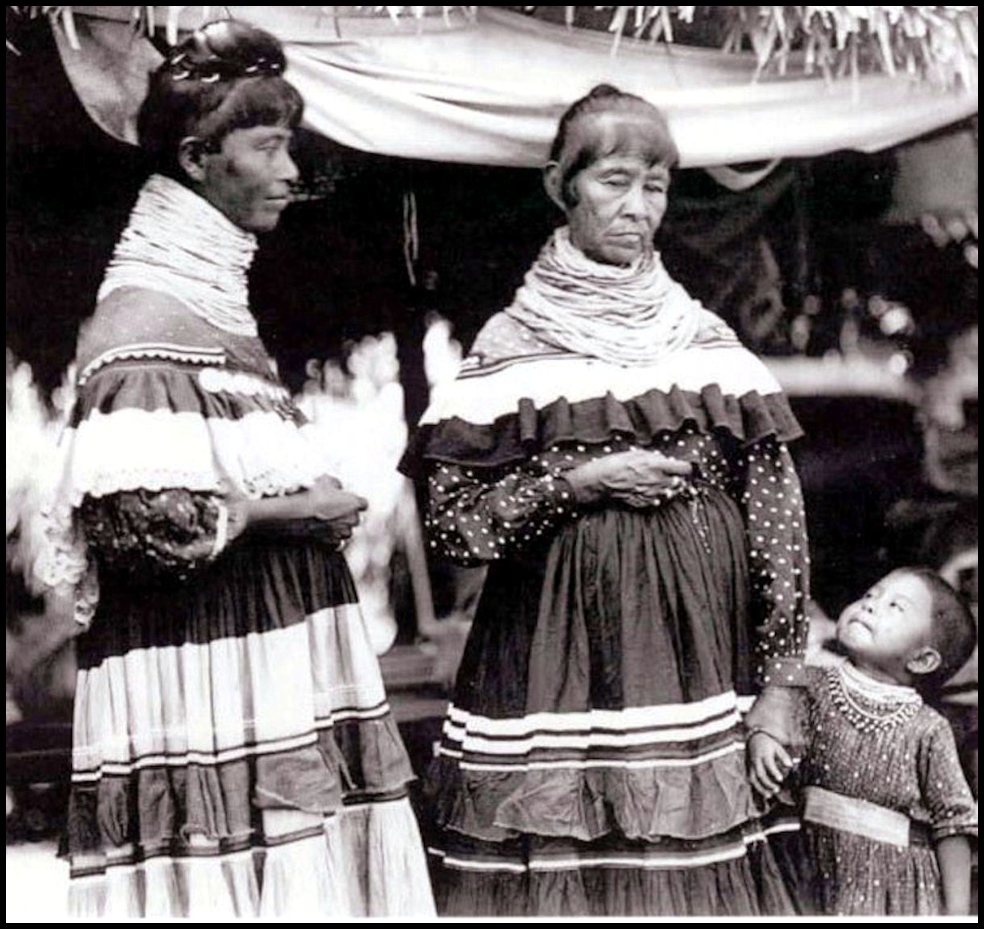 The Proud History of the Black Seminoles – The Americas Revealed